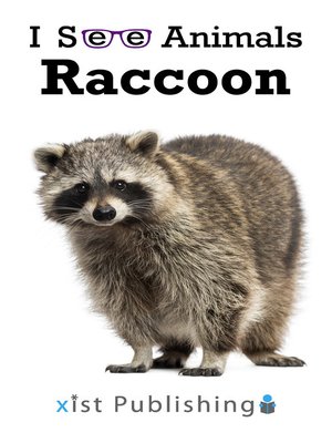 cover image of Raccoon
